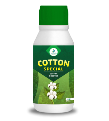 cotton Special
