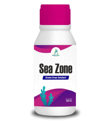 Sea Zone